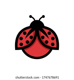 cute red ladybug or ladybird insect vector illustration design