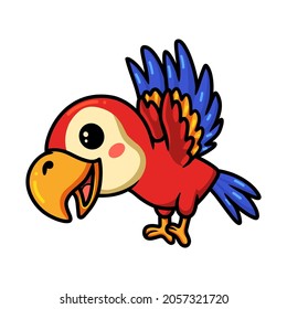 Cute red little parrot cartoon