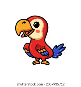 Cute red little parrot cartoon