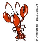 cute red lobster 
