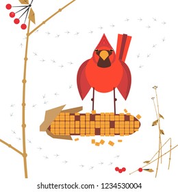 Cute Red Northern cardinal bird feeding by corn seeds poster. Comic flat cartoon. Minimalism simplicity design. Winter season birds of backyard. Template vector scavenging birdwatching card background