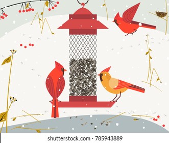 Cute Red Northern cardinal bird poster. Comic flat cartoon. Minimalism simplicity design. Winter birds feeding by sunflower seeds in feeder. Template birdwatching card background. Vector illustration