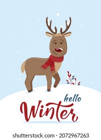 Cute red nose reindeer design with red scarf and snow on antlers and nose. Funny seasonal character for Winter cards, banner, poster. Hello Winter lettering sign. Isolated vector illustration