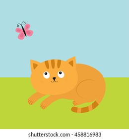 Cute red orange cat lying on grass and looking at flying pink butterfly. Mustache whisker. Funny cartoon character. Flat design. Vector illustration