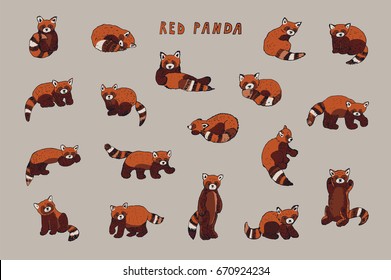 Cute Red Panda Animal Cartoon Doodle Vector Illustrations Set