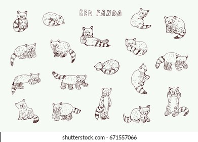 Cute red panda animal cartoon doodle line vector illustrations set