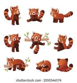 Cute Red Panda Cartoon Set Vector Stock Vector (Royalty Free ...