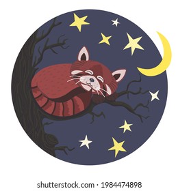 Cute red panda in a cartoon style, he sleeps on a tree, next to it are drawn month and stars. Stock vector illustration on a blue circle background.