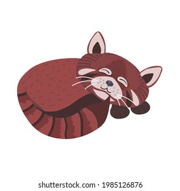 Cute red panda in cartoon style, he is sleeping. Stock vector illustration isolated on white background.