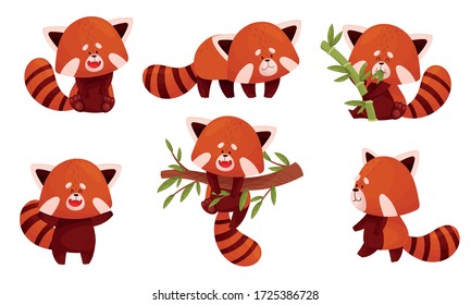 Cute Red Panda Character Doing Different Activities Vector Set