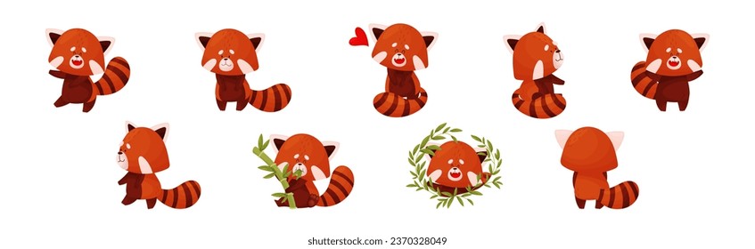 Cute Red Panda Chinese Animal Character with Striped Tail Vector Set