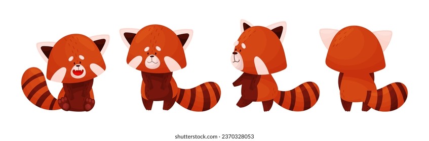 Cute Red Panda Chinese Animal Character with Striped Tail Vector Set