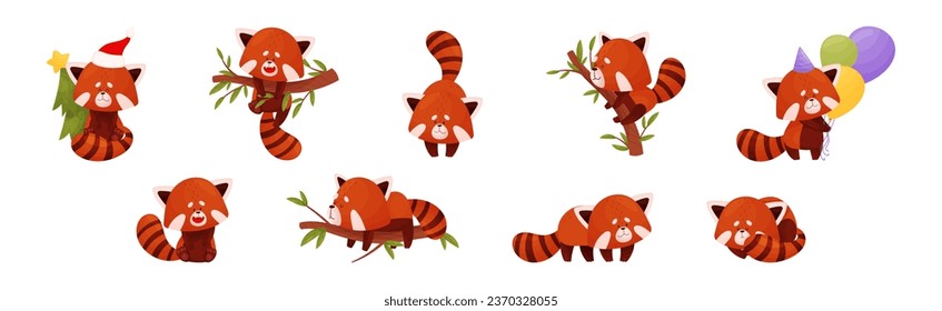 Cute Red Panda Chinese Animal Character with Striped Tail Vector Set