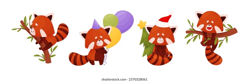 Cute Red Panda Chinese Animal Character with Striped Tail Vector Set