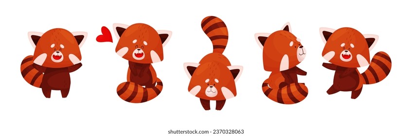 Cute Red Panda Chinese Animal Character with Striped Tail Vector Set