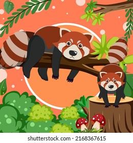 Cute red panda in flat cartoon style illustration