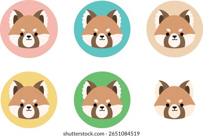 Conjunto de ícones de panda vermelho bonito - Ilustração animal
