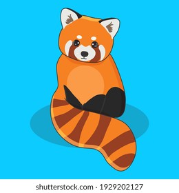 Cute red panda isolated on blue background. Vector illustration in cartoon style.
