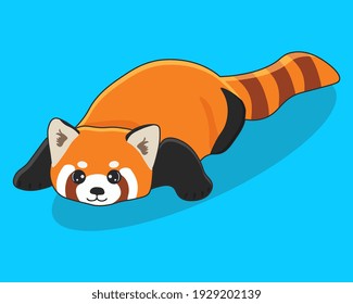 Cute red panda isolated on blue background. Vector illustration in cartoon style.