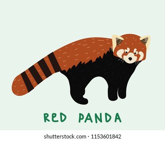 Cute red Panda (little Panda). Red book animals, endangered species. Hand vector illustration.