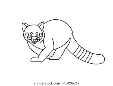 Cute red panda on whtie background. Animal cartoon design.