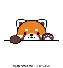 Cute red panda paws up over wall, Red panda face cartoon icon, Vector illustration