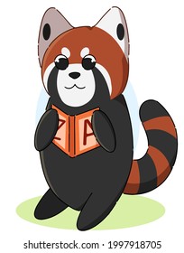 Cute red panda reading book, vector illustration
