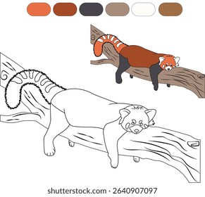 Cute red panda resting lazily on a tree branch, with a color guide for coloring the illustration.