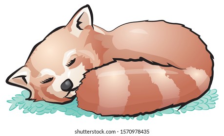 Cute red panda sleeping on leaves