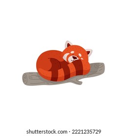 Panda rojo lindo durmiendo en un árbol de bambú, dibujos animados de ilustraciones planas vectoriales aislados en fondo blanco. Gracioso carácter infantil de animal salvaje.