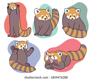 El Panda Rojo en varias poses ilustraciones de diseño vectorial de estilo dibujado a mano. 