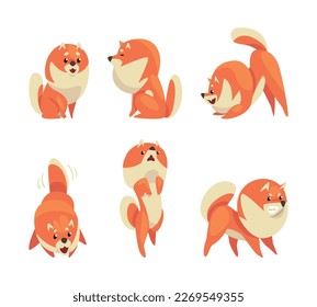 Cute red pomeranian spitz in different poses set. Funny fluffy pet dog cartoon vector illustration