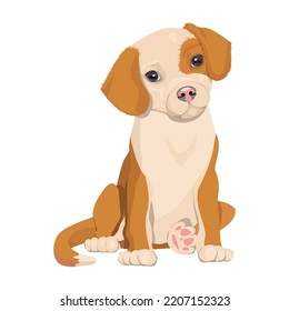 Cute red puppy, sitting dog vector illustration