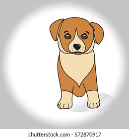 cute red puppy vector   