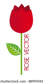 cute red rose with leaf over white background. vector