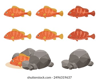 Cute red spotted grouper or spotted grouper illustration material set