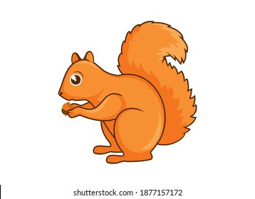 Cute red squirrel with acorn icon vector. Squirrel icon isolated on a white background. Adorable red squirrel vector