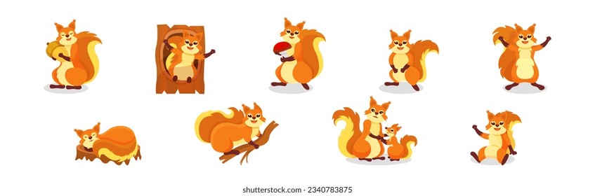 Cute Red Squirrel Character with Bushy Tail Engaged in Different Activity Vector Set
