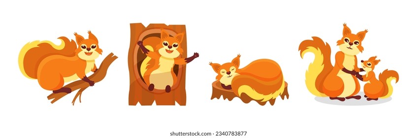 Cute Red Squirrel Character with Bushy Tail Engaged in Different Activity Vector Set