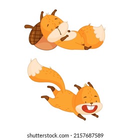 Cute red squirrel in different actions set. Funny little forest animal sleeping and jumping cartoon vector illustration