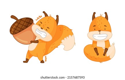 Cute red squirrel in different actions set. Funny little forest animal carrying heavy acorn cartoon vector illustration