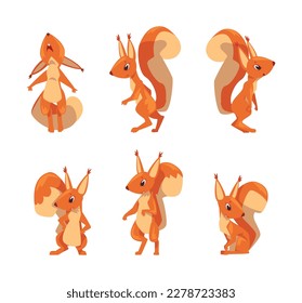 Cute red squirrel in different poses set. Wild funny animal cartoon vector illustration