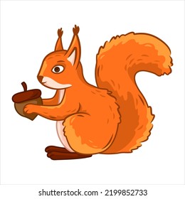 a cute red squirrel sits like a nut in its paws on a white background. Forest animals. Vector illustration with cute forest animals