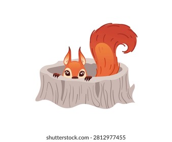 Cute red squirrel sitting and holding a brown acorn. Sweet cartoon forest animal with big fluffy tail and tiny paws. Flat design element. Vector illustration isolated on white background.