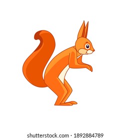 Cute red squirrel is standing. Cartoon character of a curious rodent-a mammalian animal. A wild forest creature with orange fur. Side view. Vector flat illustration isolated on a white background.