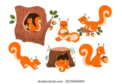 Cute Red Squirrel. Wild Animal Walks Along Branches Of Tree, Looking For Acorns And Hides Them In Hollow. Children Design Element For Book And Printing On Fabric. Cartoon Modern Flat Vector Set