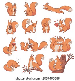 Cute red squirrels with nuts and acorns. Set vector cartoon outline sketch isolated illustrations of animal characters.