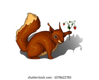 Cute red summer squirrel with a stem of strawberries, isolated on white background.