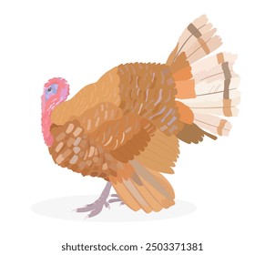 Süße rote Türkei Vogel Vektorgrafik. Cartoon Viehzucht Geflügel, wilde Natur Tier isolierten Clipart.