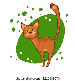 Cute red  vector cat on green background
